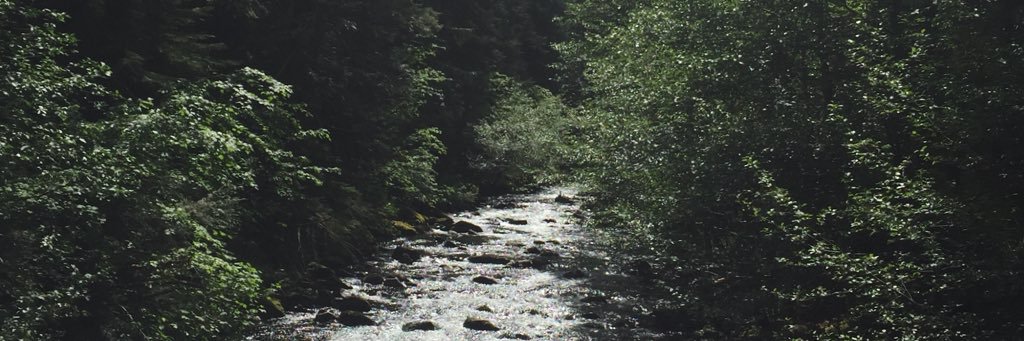 imformer's profile banner image
