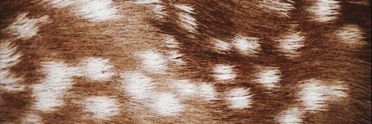 ؘ banner