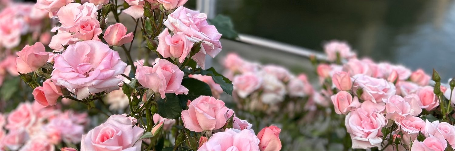 6n6351's profile banner image