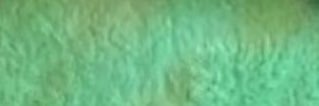 wwwtuob's profile banner image