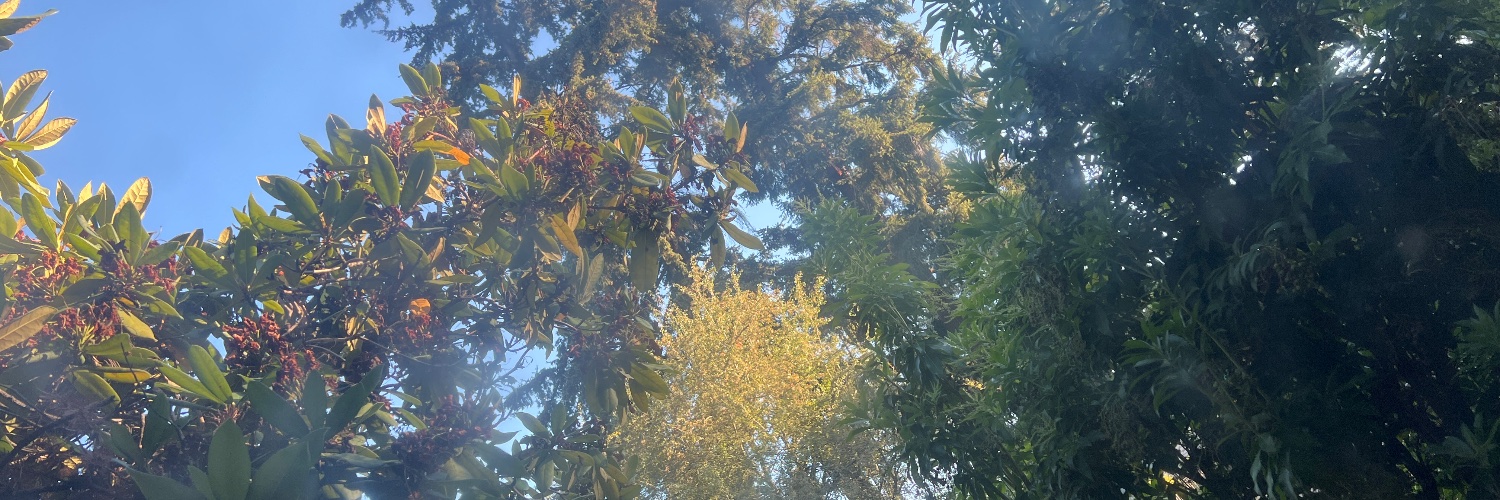 Bulligloo's profile banner image