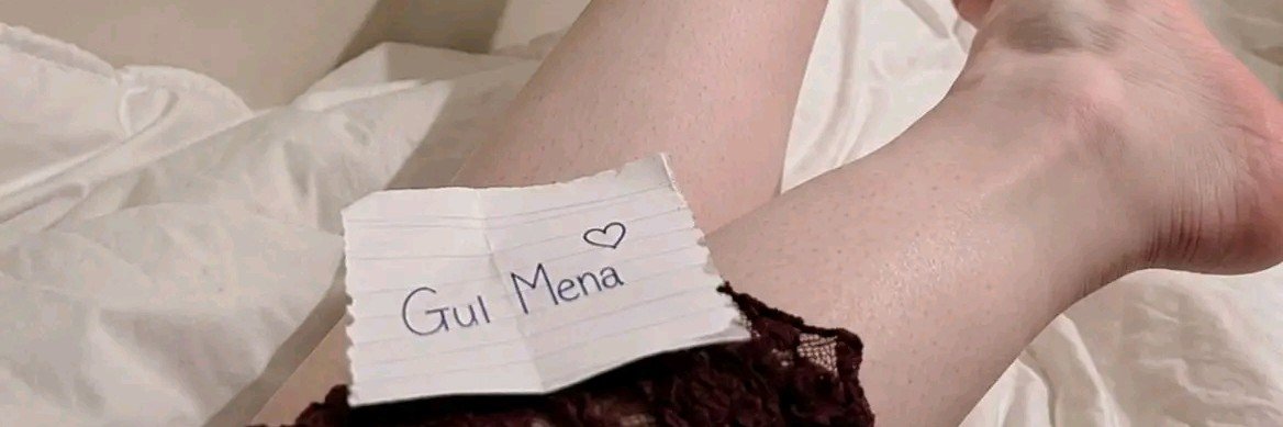 GulMenahot's profile banner image