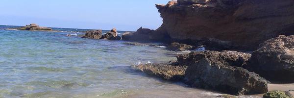 pelluzo Profile Banner