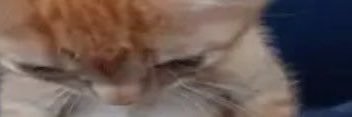 reztug1907's profile banner image
