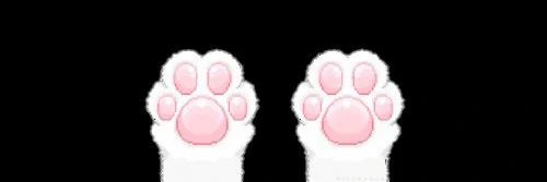 alisonkittyy's profile banner image