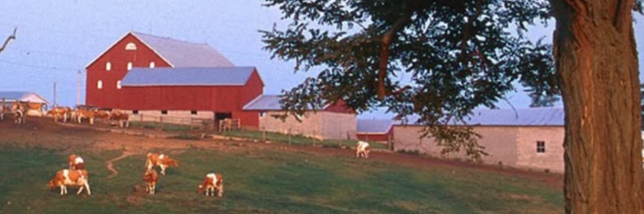 BlueTreeBurner - PUPPYRELP banner