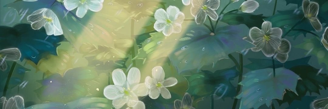 licoricekaveh's profile banner image