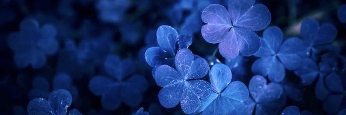 TheTouska's profile banner image