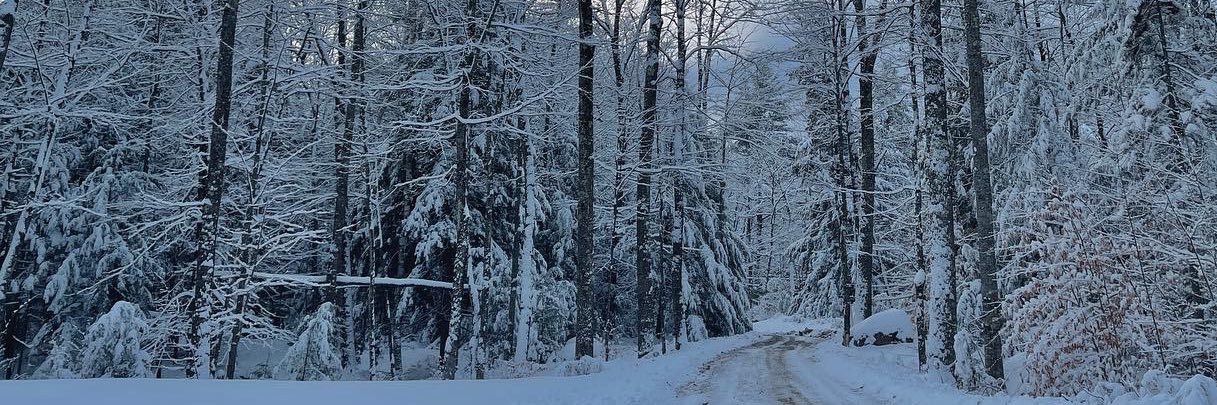 Audrey Bauzon 👩🏻‍⚕️💖🪬 banner