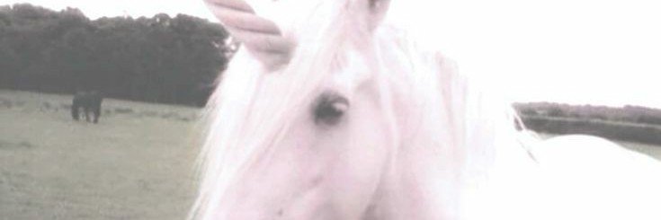 imafuckunicorn's profile banner image