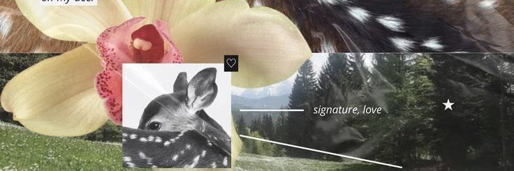 reeeachi's profile banner image