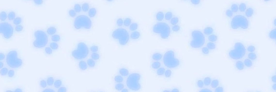 SpotsPuppyz's profile banner image