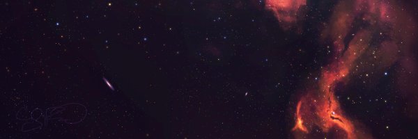 sheharyarn Profile Banner