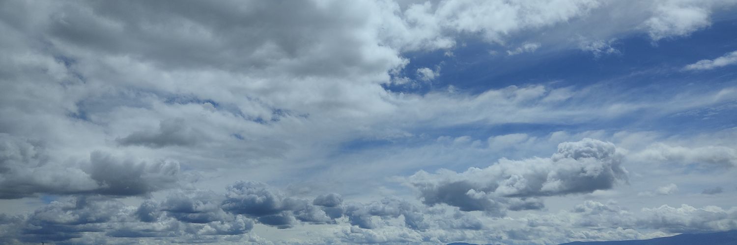 Edu banner