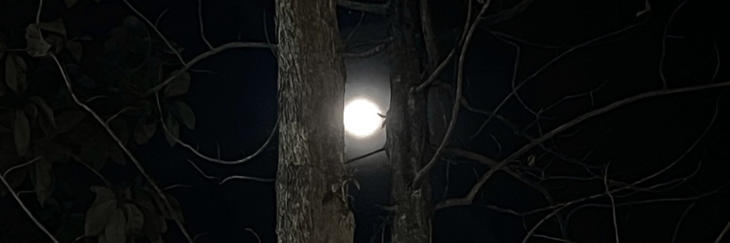 Momdillaa's profile banner image