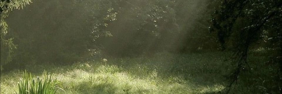permahmm's profile banner image