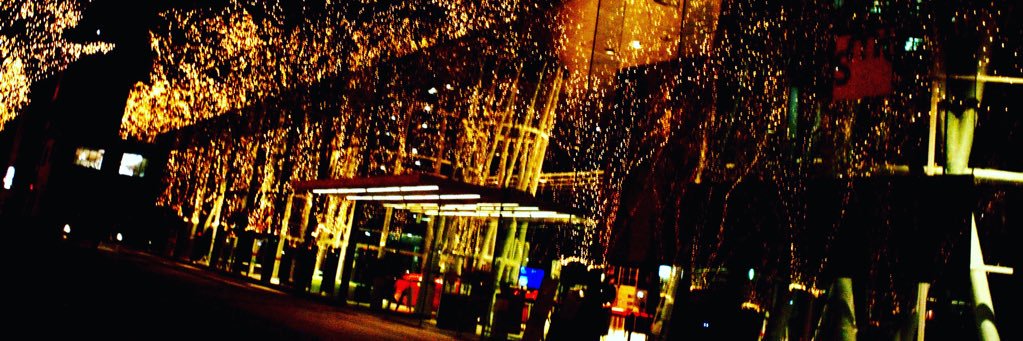 Seed__tane's profile banner image