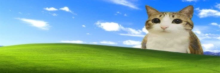 𝖈𝖍𝖊𝖗𝖗𝖞 banner