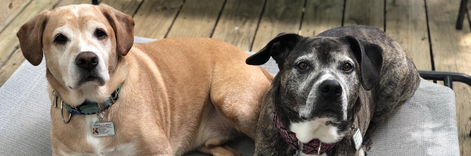 Laura K. Reed, MD banner