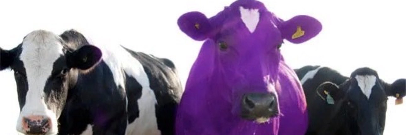 smaarrrt's profile banner image