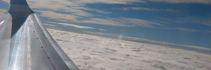 _FlorLombardi's profile banner image