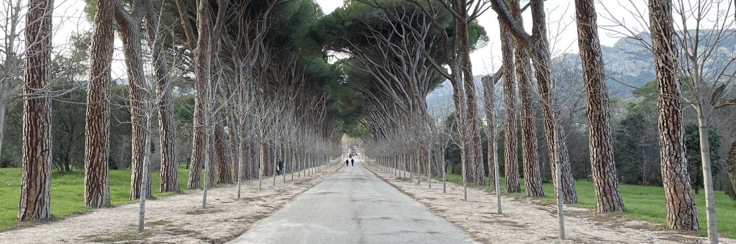 Fernando Sols Cueto banner