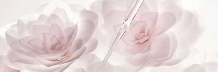 secqueli's profile banner image