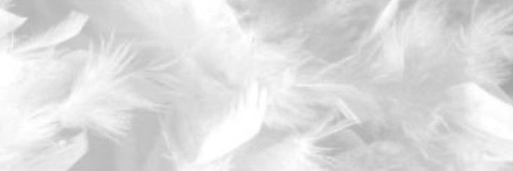bl66od's profile banner image