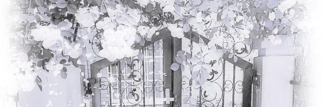 lulus01h's profile banner image