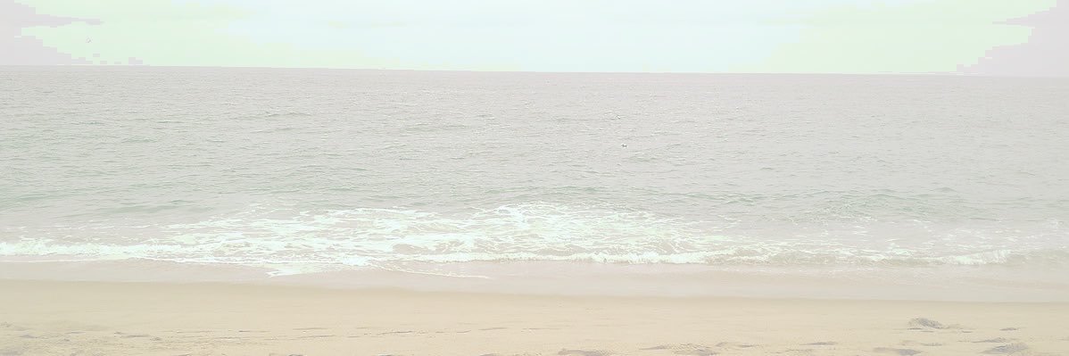 — 𝐞𝗮𝗿𝘁𝗵'𝘀 𝐬𝗮𝘃𝗶𝗻𝗴 𝐠𝗿𝗮𝗰𝗲 banner