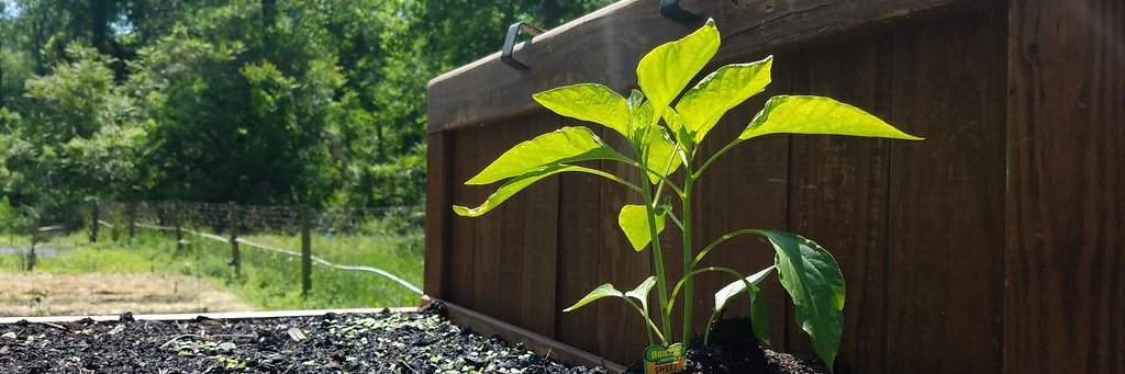 University of Richmond Sustainability banner