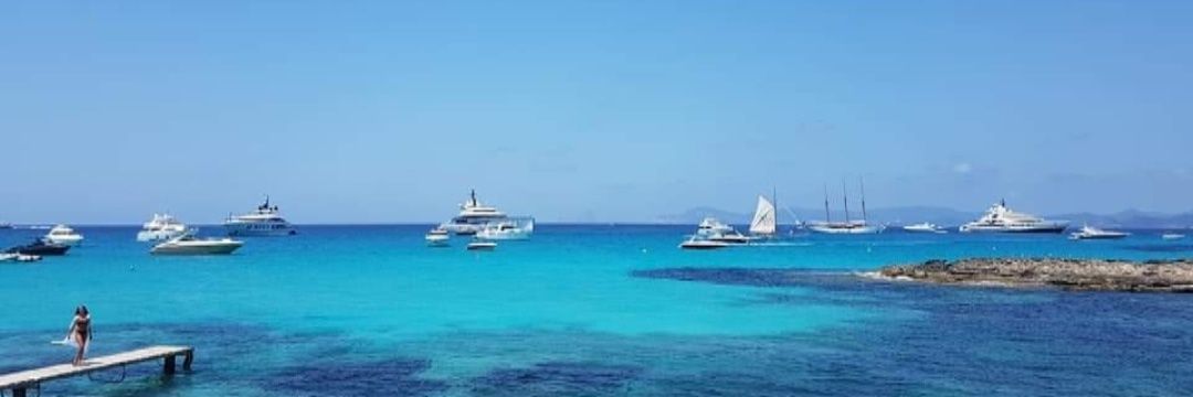 Susan McLellan banner