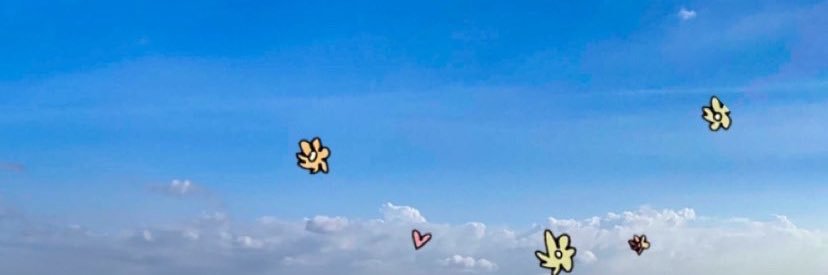 Thalles 🤠 banner