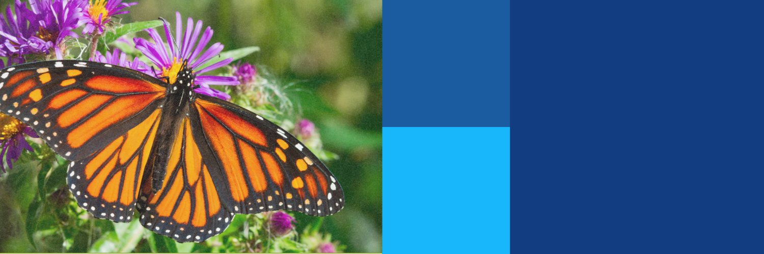 Wiley Ecology & Evolution's banner