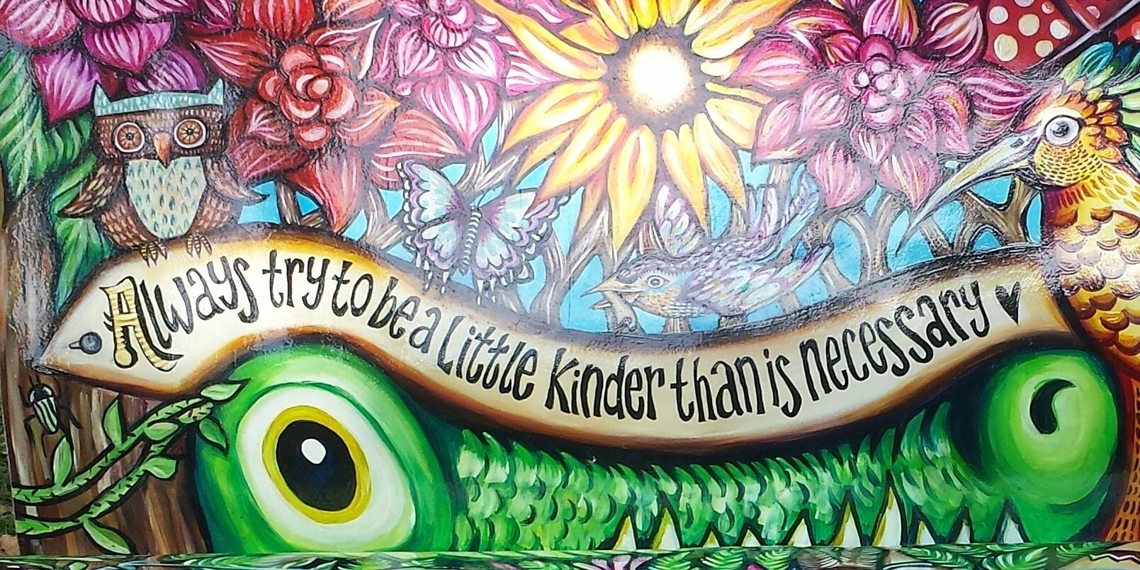 Megan_Boyle's profile banner image