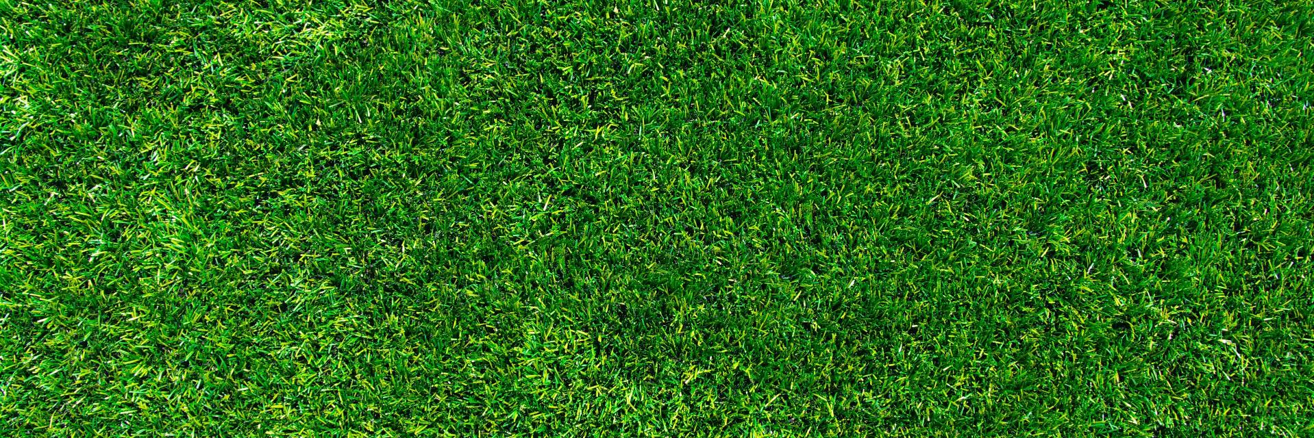 Max Brodie banner