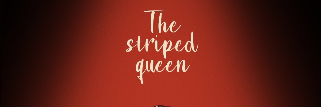 queenofstripe's profile banner image