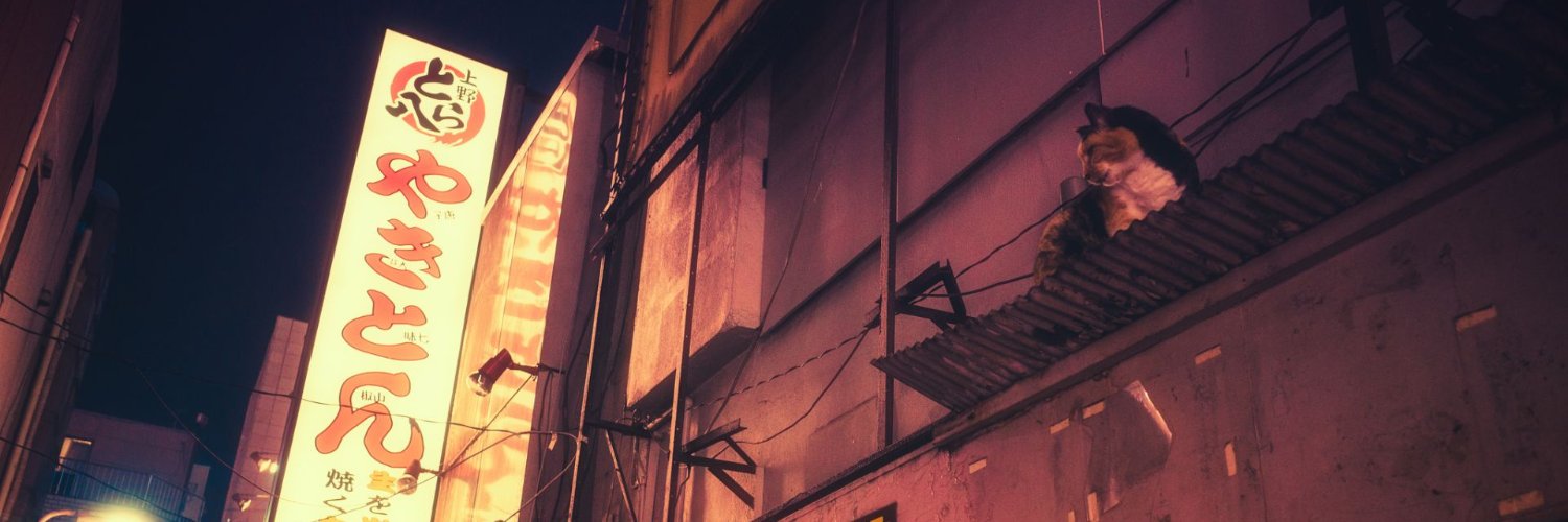 vampiretamine's profile banner image
