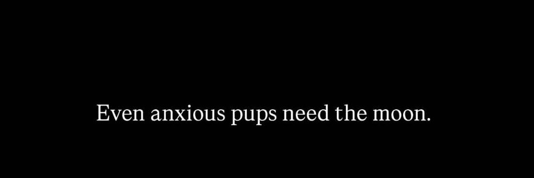 pupcupro's profile banner image