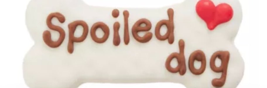 HazelSaysNO's profile banner image