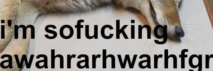 Saraf banner