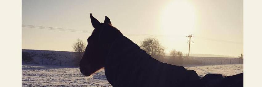 Christian Lecoutier banner