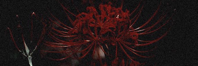janeisntwell's profile banner image