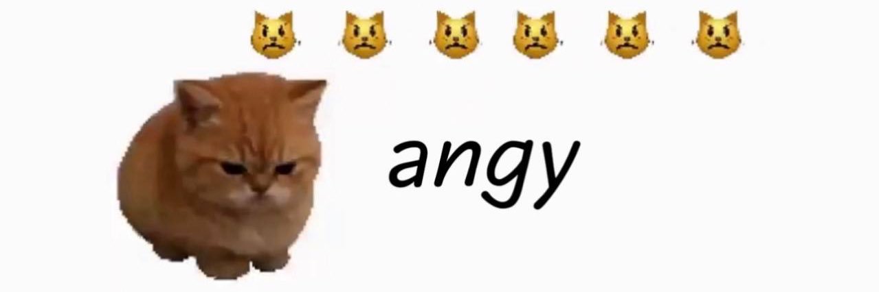 iAngyCat's profile banner image