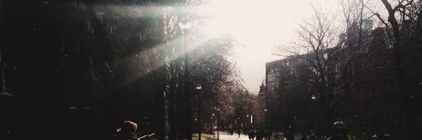 nimtim Profile Banner