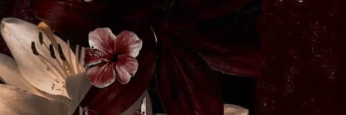 𝘭𝘦𝘺𝘢𝘢 banner