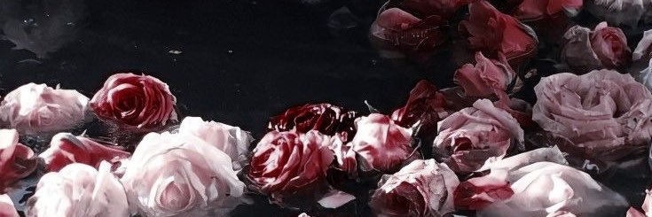 h1ru_s2's profile banner image
