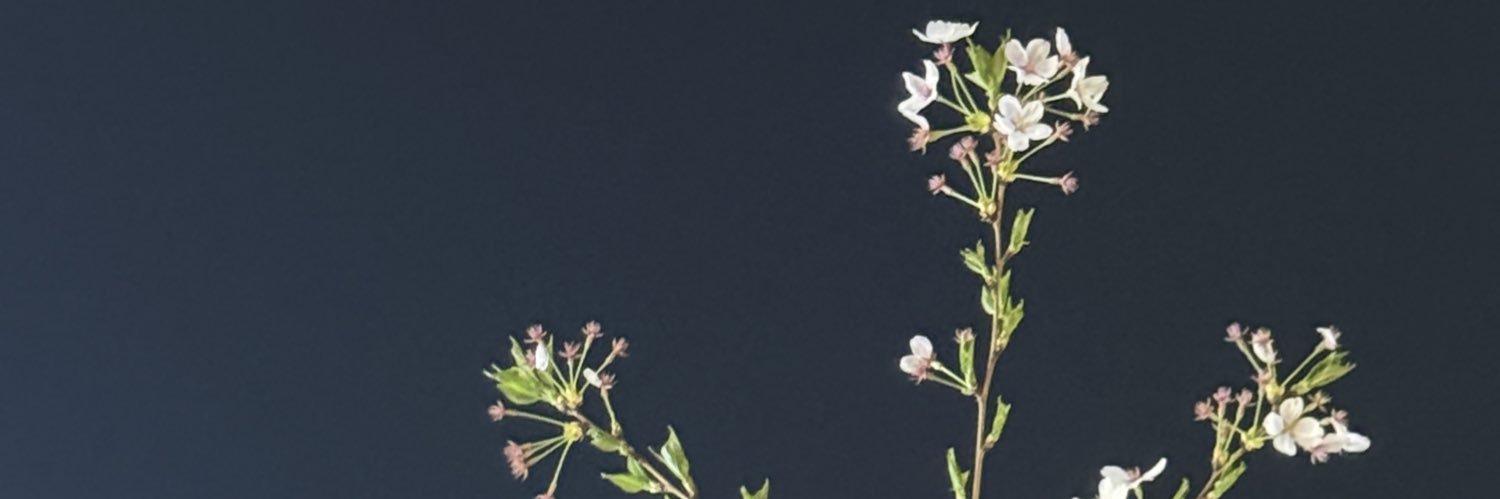 GGamJa0203's profile banner image