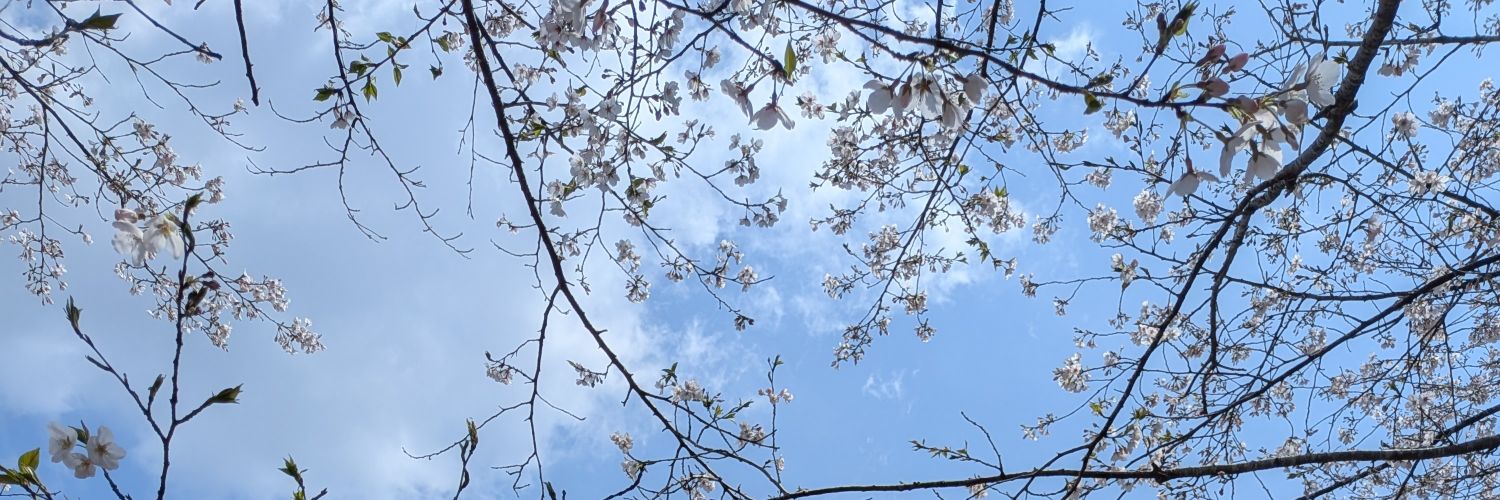 sui__r_'s profile banner image
