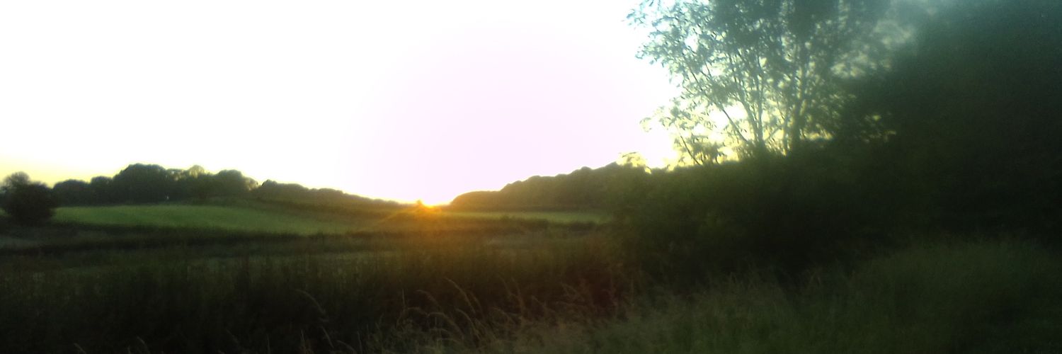 peacockjen's profile banner image